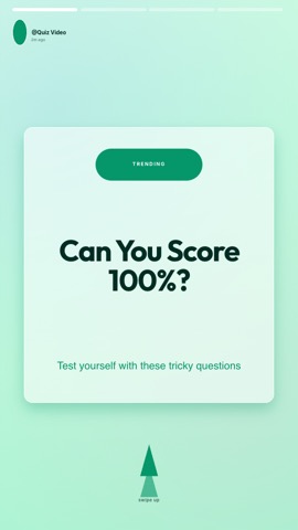 Stories · Mint hook quiz video template preview